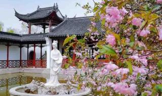 南京最值得去的10个旅游景点及其介绍